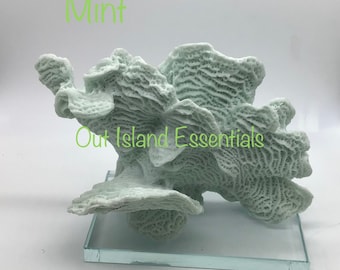Könnte beinhalten: Eine mintfarbene Korallenskulptur auf einem klaren Glassockel. Die Koralle hat eine strukturierte, poröse Oberfläche und ist mit "Out Island Essentials" in grünem Text beschriftet. Das Wort "Mint" ist ebenfalls in Grün geschrieben.