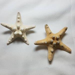 Knobby Starfish Boutonniere, Starfish Boutonniere, Beach Boutonniere, Seashell Boutonniere, Natrual Starfish Boutonniere