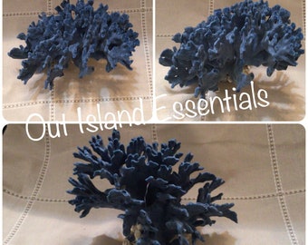 Blue Ridge Coral I Stunning Blue Coral I Authentic Blue Coral I Natural Blue Coral I Coral Centerpiece