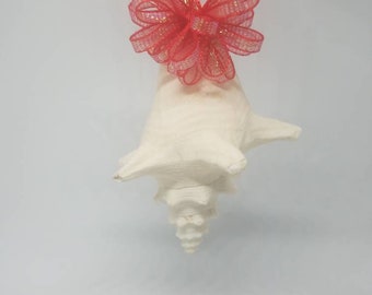Mini-kerstornament met koningin schelp: strandachtig kustdecor