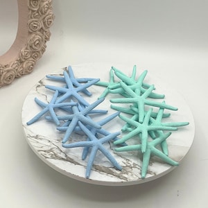4PC Finger Starfish I 3”- 4” Colored Starfish I Starfish Decoration I Coastal Decorations I Coastal Colored Painted Starfish