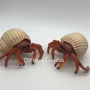 Hermit Crab In Hiding Statue I Hermit Crab Lover I Hermit Crab Decor I Hermit Crab Coastal Decor