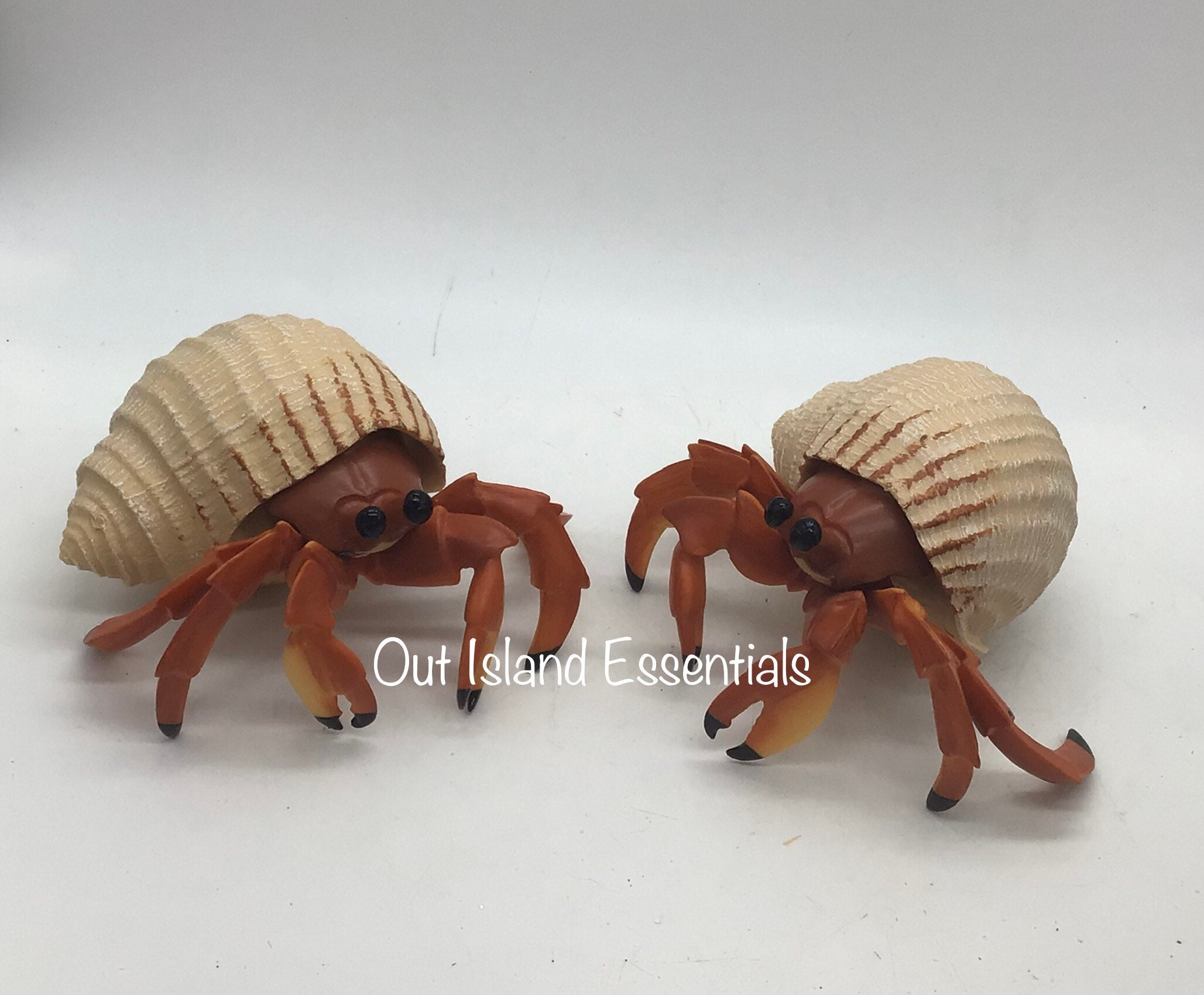 隠れているヤドカリの像 I ヤドカリ愛好家 I ヤドカリの装飾品 I
