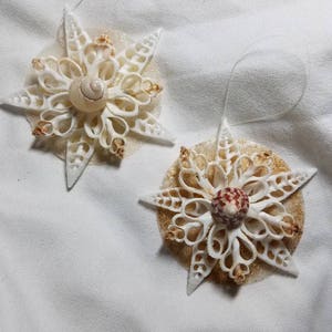 May include: Two white seashell snowflake ornaments with gold glitter accents. One ornament has a white seashell in the centre, and the other has a red and white seashell in the centre.