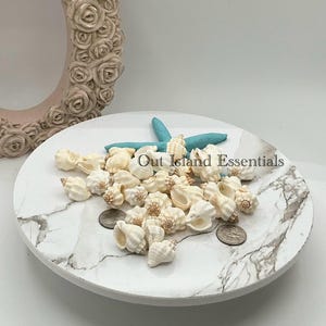 May include: A white marble plate with a blue starfish and a pile of small white seashells. The text "Out Island Essentials" is printed on the plate.