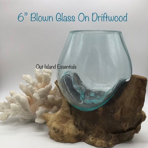 6" Blown Glass On Driftwood I Glass Terrariums I Terrarium Container I One Of A Kind Pieces