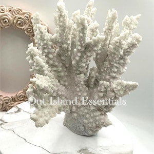 Könnte beinhalten: Eine weiße Korallenskulptur mit strukturierter Oberfläche. Die Skulptur steht auf einer weiß marmorierten Oberfläche. Der Text "Out Island Essentials" ist auf der Koralle zu sehen.