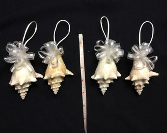 Mini Conch Shell Christmas Ornament I Seashell Christmas Ornament I Baby Queen Conch Shell Ornament I Conch Shell Ornament I Coastal Cottage