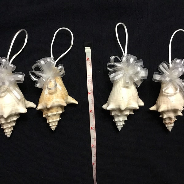 Mini Conch Shell Christmas Ornament I Seashell Christmas Ornament I Baby Queen Conch Shell Ornament I Conch Shell Ornament I Coastal Cottage