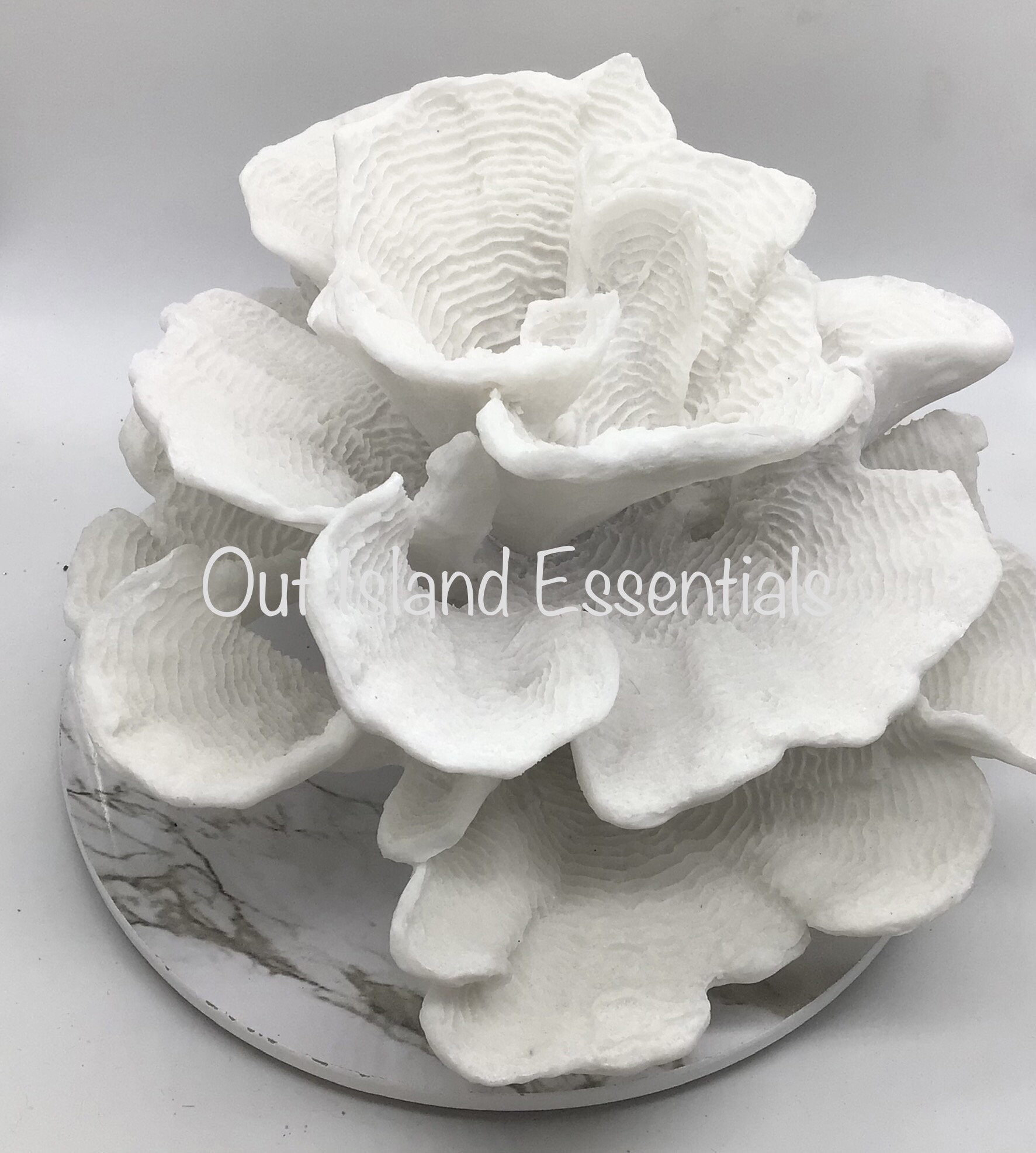 Faux Cup Coral Display | Coral Decoration | Eco Friendly Coral | Stunning Eco Friendly Display Coral | Faux White Cup Coral Decor