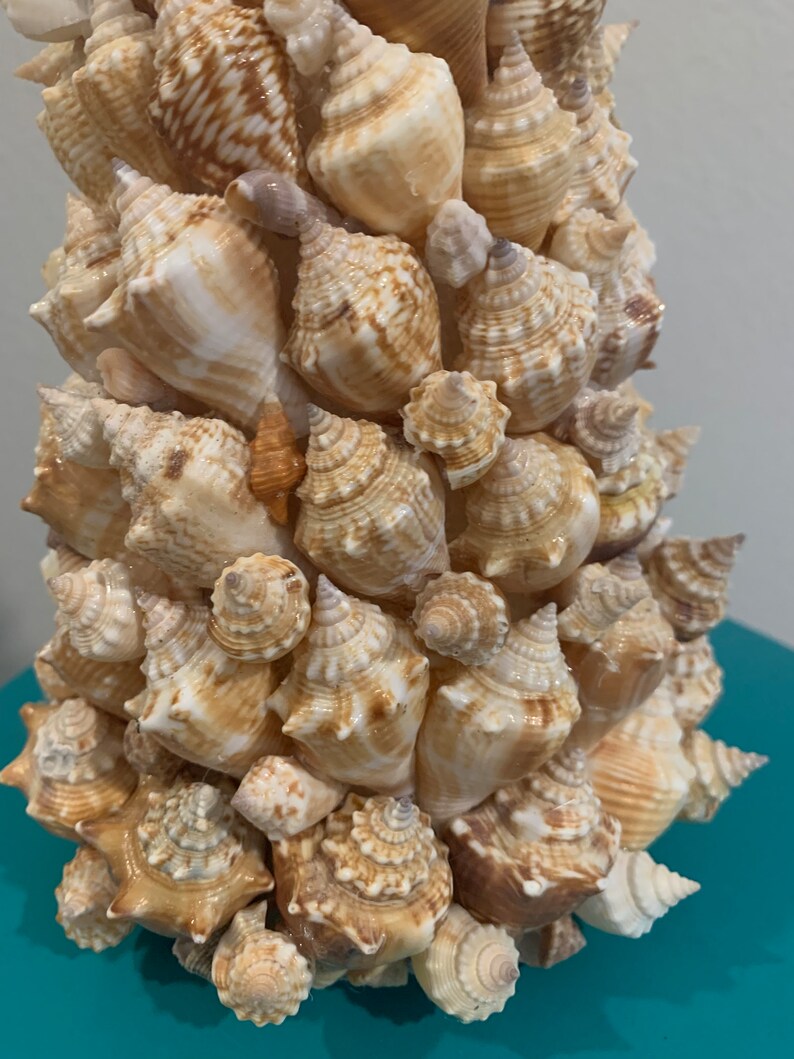 Shell Cone Tree, 10 Inches, Beachy, Conch - Etsy