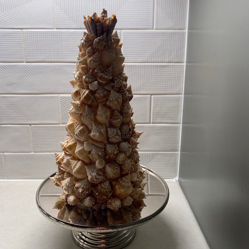 Shell Cone Tree, 10 Inches, Beachy, Conch - Etsy