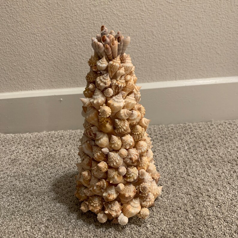 Shell Cone Tree, 10 Inches, Beachy, Conch - Etsy