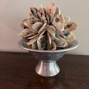 May include: A spherical arrangement of natural oyster shells in various shades of beige, gray, and brown, resting inside a silver-toned metal pedestal bowl with a flared rim and a tapered base featuring subtle etched floral details.