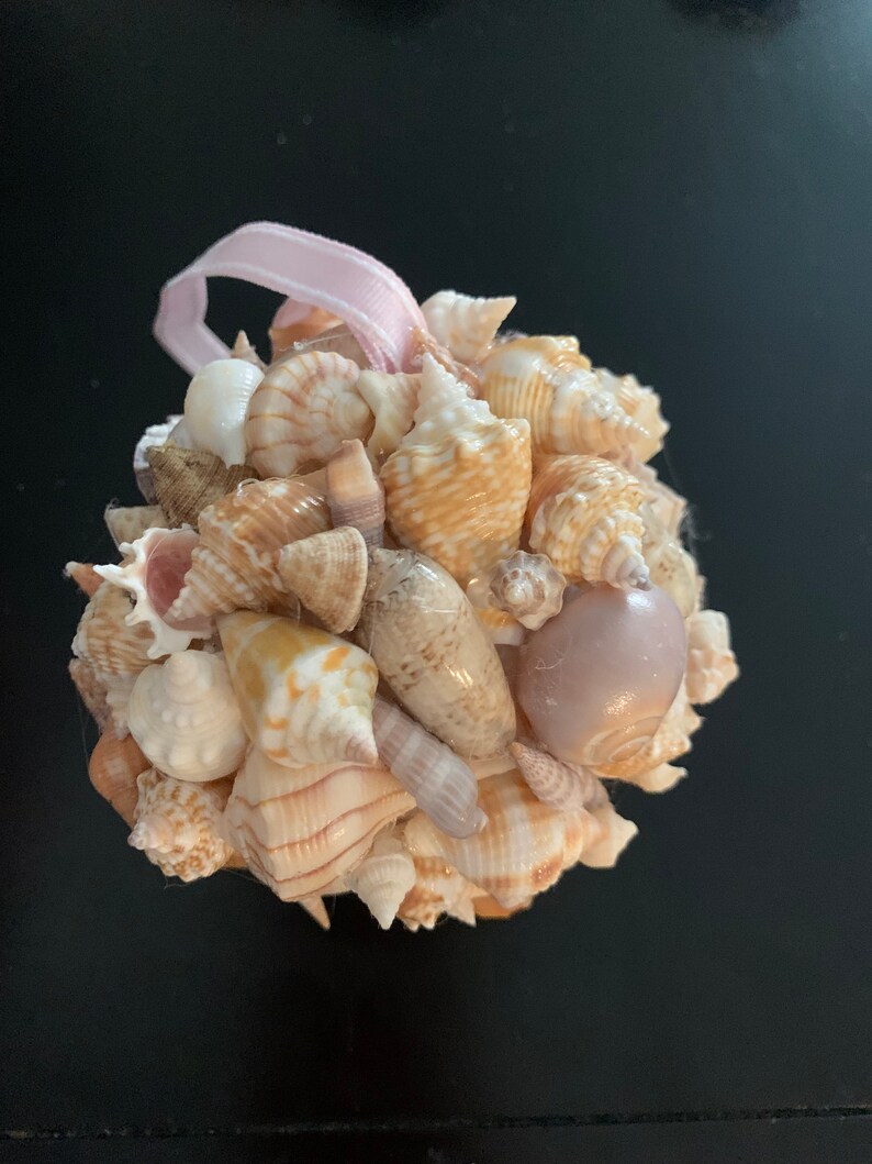 Shell With Ribbon Shell Kissing Ball/sphere 12, Mixed Shells, Oink Grosgrain Ribbon - Etsy