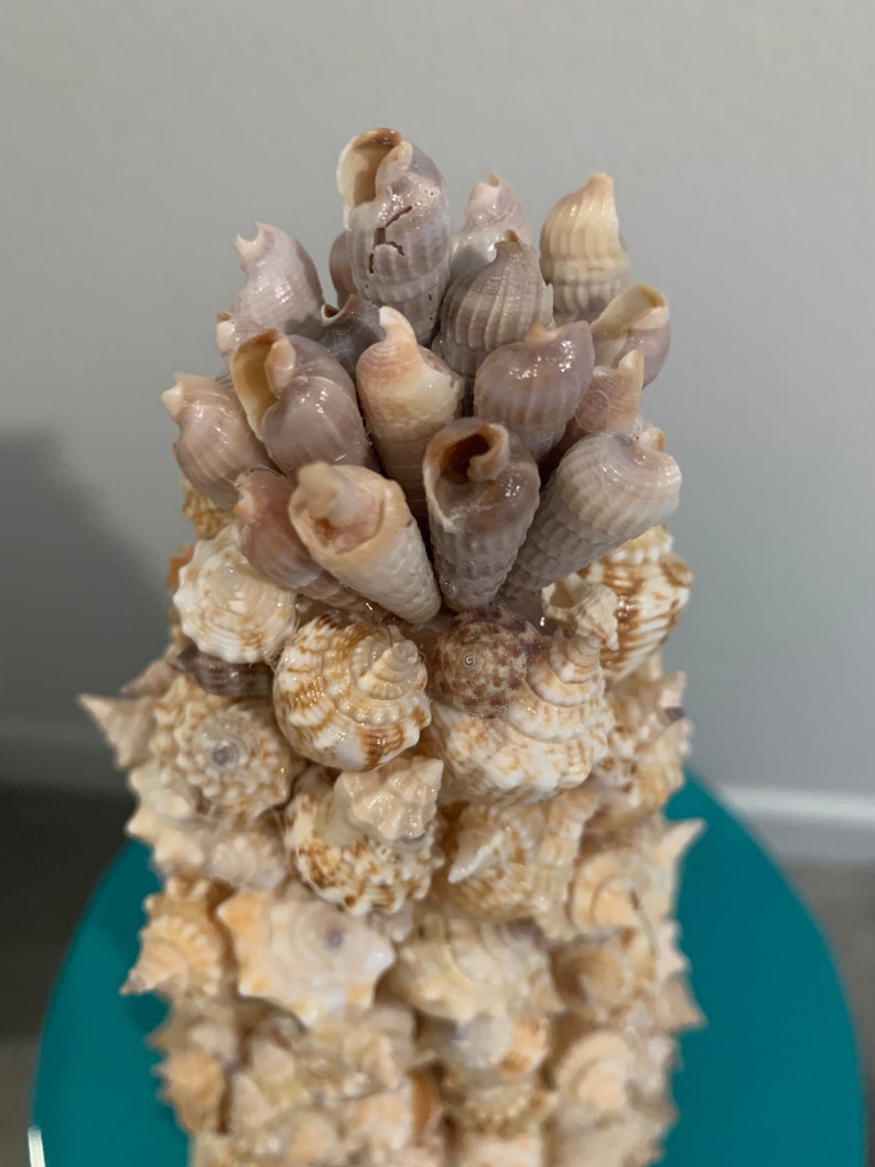 Shell Cone Tree, 10 Inches, Beachy, Conch - Etsy