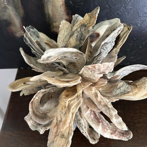 May include: A cluster of oyster shells arranged in a flower-like shape, with a natural beige and gray color palette.