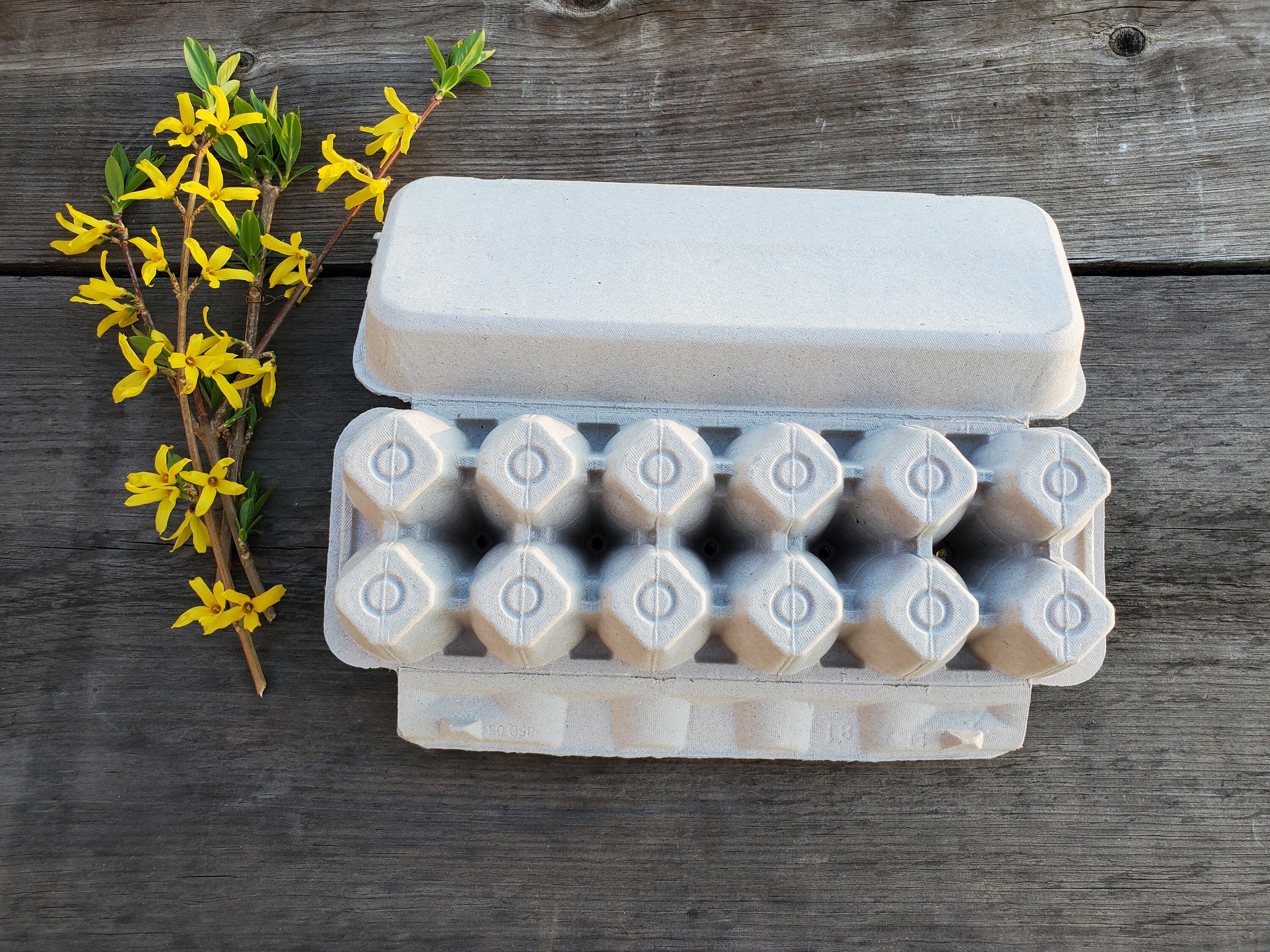 25Blank Egg Cartons Etsy