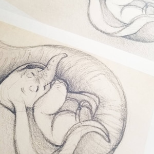 Baby Dumbo/Elephant Inspired Sketch Nursery Art Decor image 4