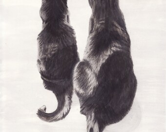 Black Cats, print from original Pencil & Ink drawing