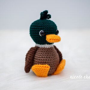 May include: A crocheted duck plush toy with green head, brown body, and orange feet. The duck has black eyes and an orange beak.