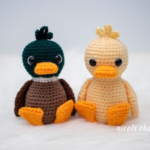 May include: Two crocheted duck plushies, one green and brown and one yellow. Both have black eyes and orange beaks.