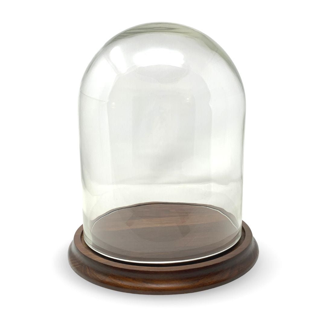 ZEELYDE Food Covers,Splatter Covers,Clear Glass Display Dome Eternal Flower  Dome Antique Bell Jar Display Dome with Rustic Wooden Base Home Decorative