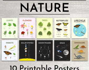 10 druckbare Lernposter - Naturserie - vollfarbig und druckerfreundlich auf weißem Hintergrund