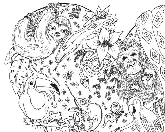   Coloring Pages Jungle  Latest HD