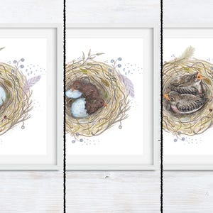 Bird Art Set Gallery Wall Set Bird Nursery Art Nursery Decor Bird Lover Gift Bird Watching Bird Wall Art Bird Wall Decor Egg image 2