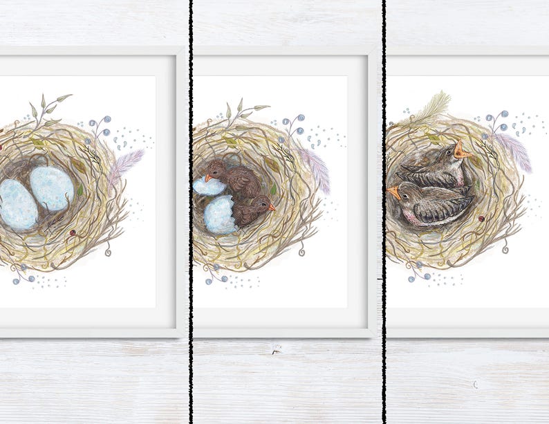 Bird Art Set Gallery Wall Set Bird Nursery Art Nursery Decor Bird Lover Gift Bird Watching Bird Wall Art Bird Wall Decor Egg image 2