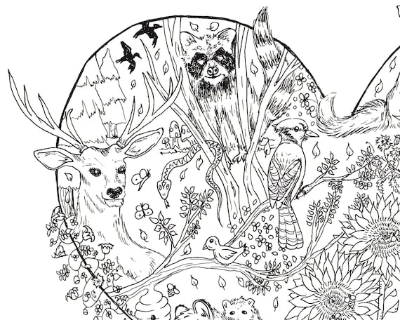 22+ Forest Animals Coloring Page