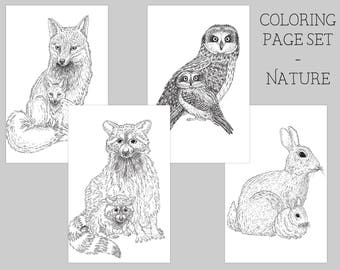 Nature Coloring Page - Adult Coloring Page - Printable Coloring - Colouring Pages - Forest Coloring Pages - Animal Coloring Book - Colorbook