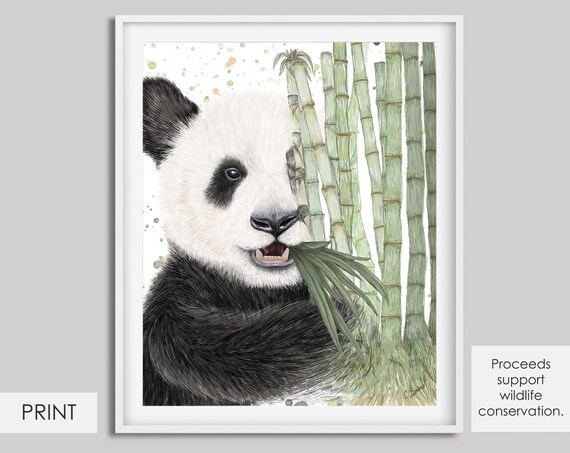 Panda in Bamboo Art Print Supports Wildlife Conservation - Etsy Singapore Panda in Bamboo Art Print Supports Wildlife Conservation - Etsy Singapore