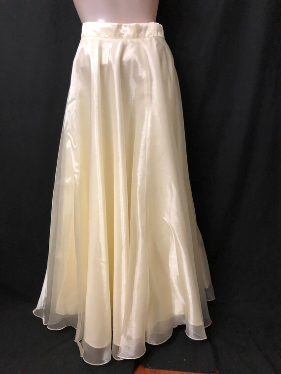 Elegant Chiffon Skirt - image 3