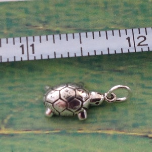Turtle Charm on Curb Chain.  Sterling Silver.