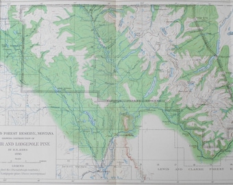 1900 Map: Flathead Forest Reserves Montana MT. Red Fir & Lodgepole Pine. Julius Bien Antique Lithograph. Original. Over 100 years old.