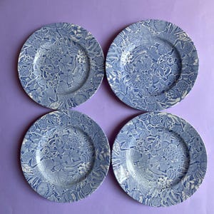 Könnte beinhalten: Ein Set aus vier runden Keramiktellern mit einem detaillierten blau-weißen botanischen Muster. Jeder Teller zeigt eine dichte Anordnung verschiedener Blumen, Blätter und Beeren, die die gesamte Oberfläche einschließlich des breiten, flachen Randes bedecken.