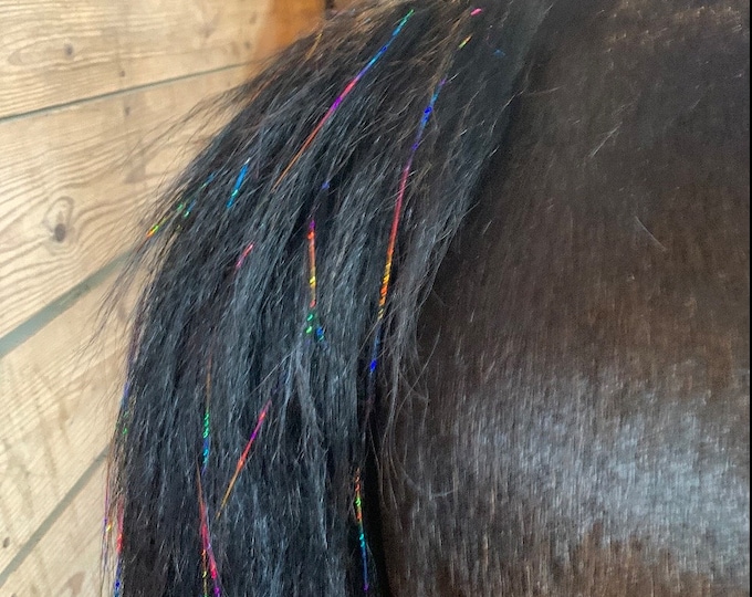 Mane And Tail Bling For A Western Bride, Horse Lover Gift, Horse Hair Tinsel