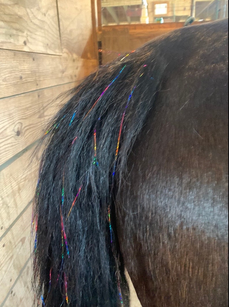 Horse Bling Accessory, Mane And Tail Bling, Pony Hair Tinsel For Your Western Bride, Horse Lover Gift image 5