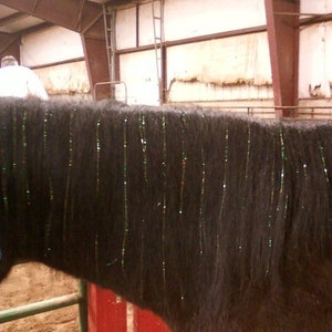 Horse Bling Accessory, Mane And Tail Bling, Pony Hair Tinsel For Your Western Bride, Horse Lover Gift image 2