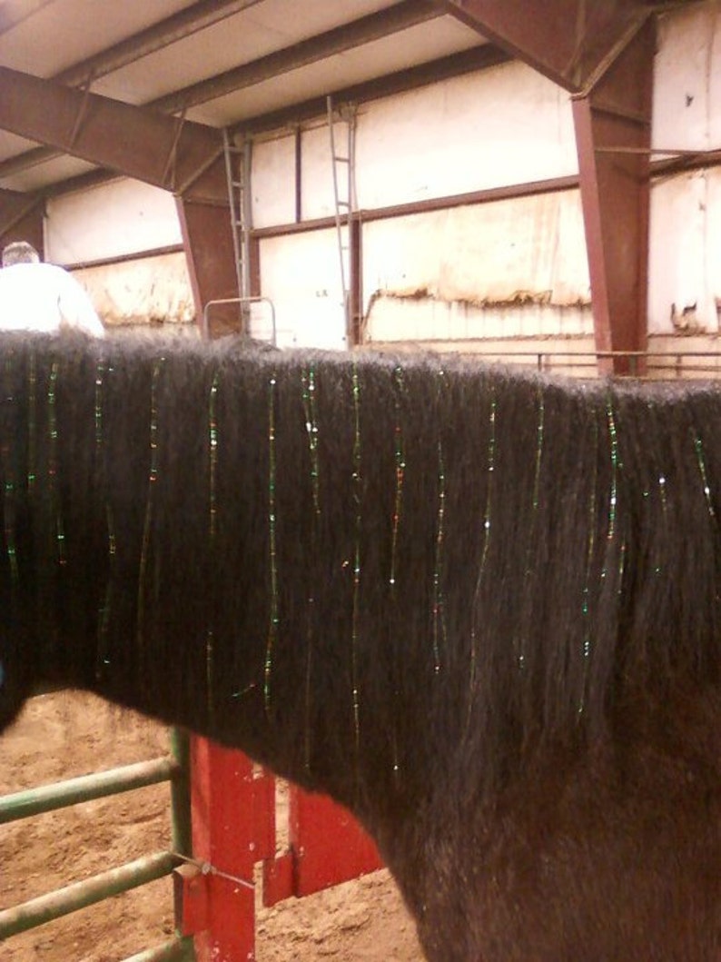 Horse Bling Accessory, Mane And Tail Bling, Pony Hair Tinsel For Your Western Bride, Horse Lover Gift image 2