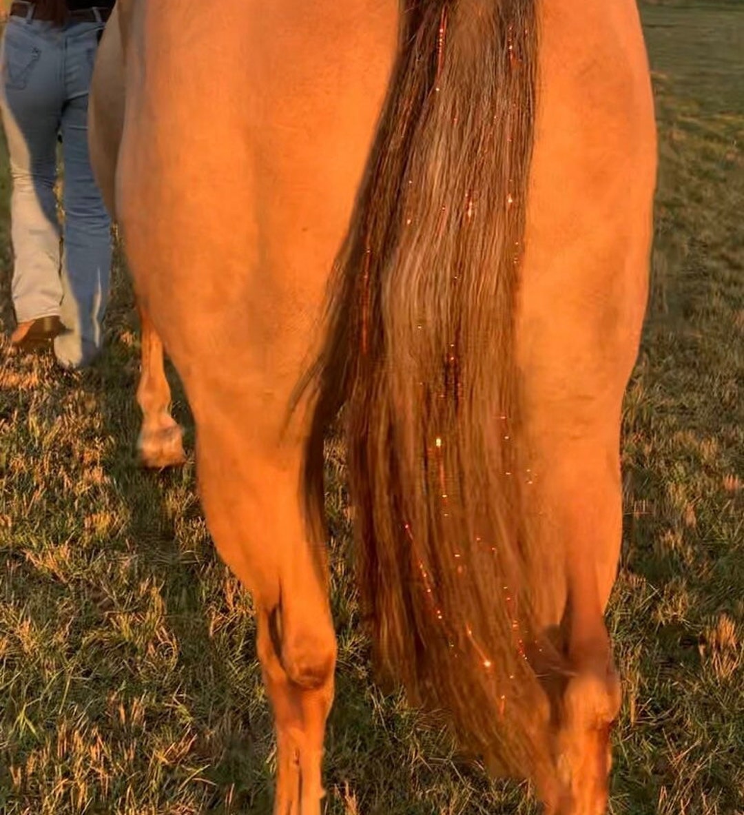 How to tie hair tinsel on a horse 