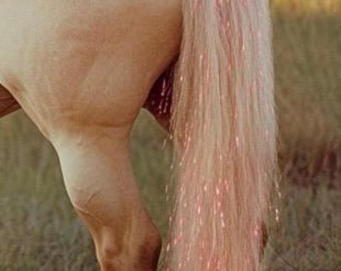 Sparkling Pony Hair Tinsel – Mane & Tail Bling for Western Brides And Rodeo Style