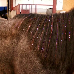 Horse Mane Tinsel, Sparkling Pony Hair Glitz, Western Bridal Accessory