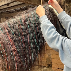 May include: A dark brown horse mane adorned with red and green tinsel strands. The horse is in a barn setting, with wooden walls visible in the background. The mane is being styled with the tinsel.