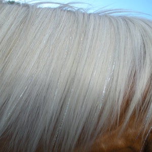 Horse Bling Accessory, Mane And Tail Bling, Pony Hair Tinsel For Your Western Bride, Horse Lover Gift image 9