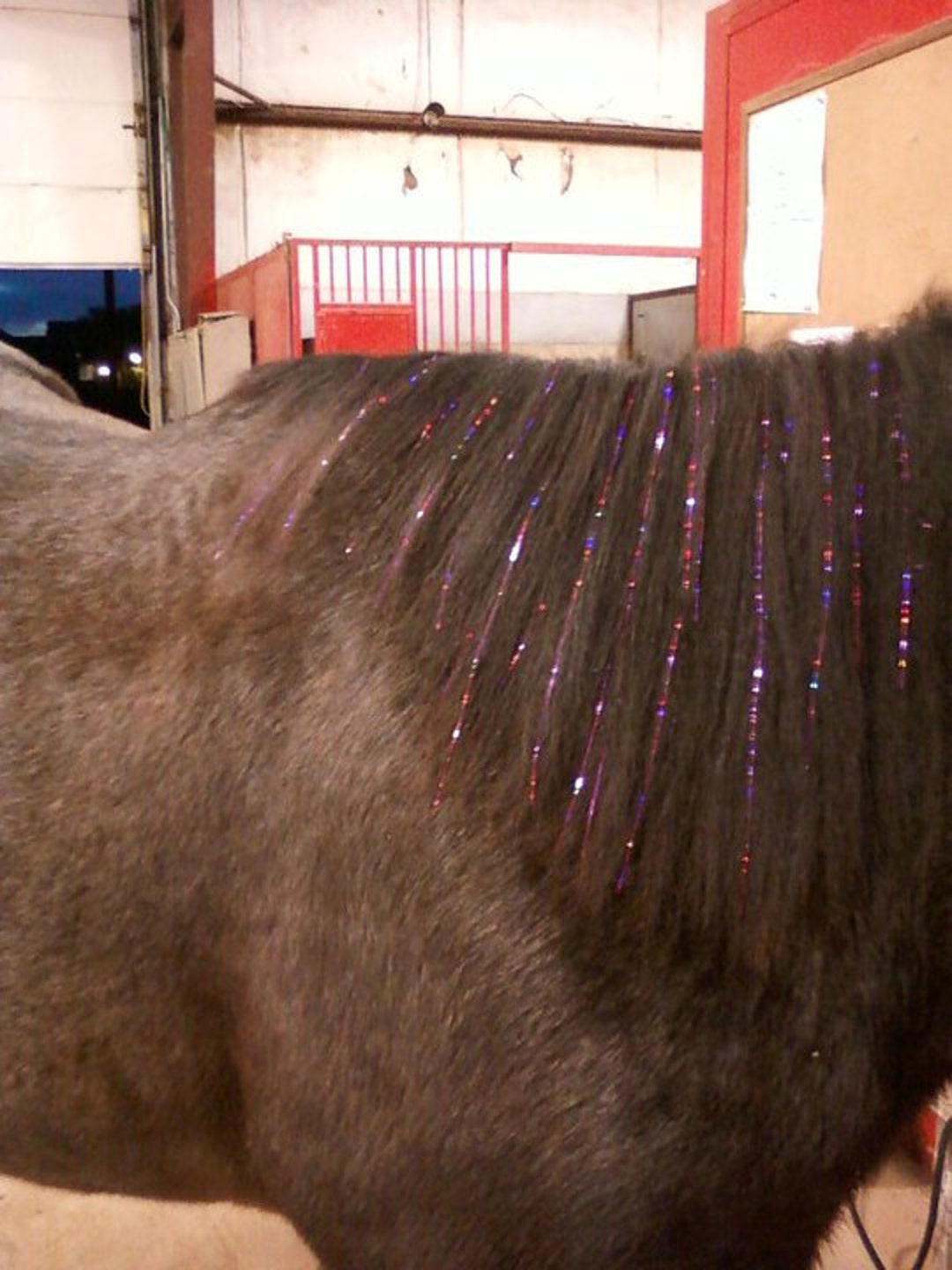 Real Horse Hair Large Mane and Tail Set