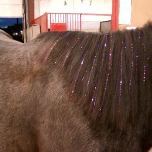 Horse Bling Accessory, Mane And Tail Bling, Pony Hair Tinsel For Your Western Bride, Horse Lover Gift image 1