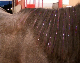 Horse Bling Accessory, Mane And Tail Bling, Pony Hair Tinsel For Your Western Bride, Horse Lover Gift